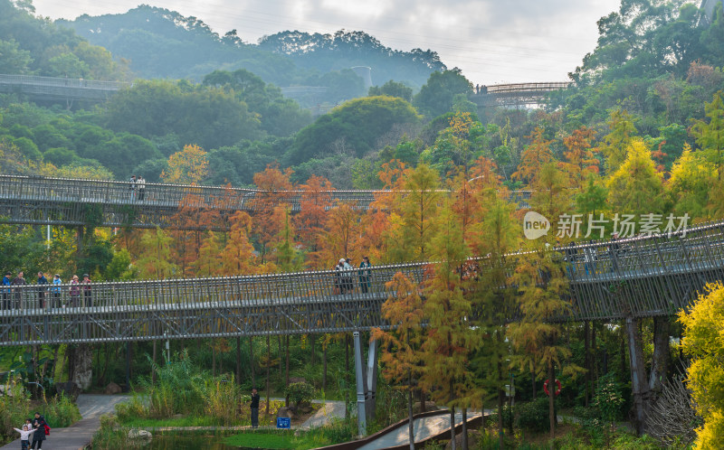 福州福道行人漫步山林间环形步道