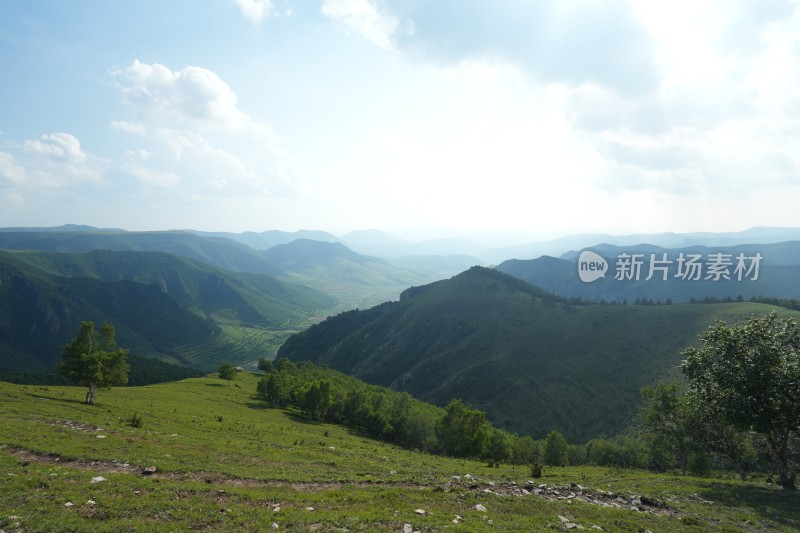 麻田岭夏季风光