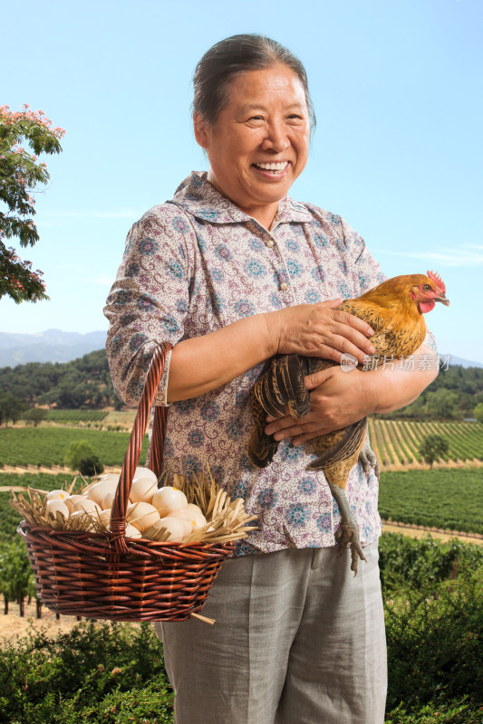 农民拿着鸡蛋和母鸡