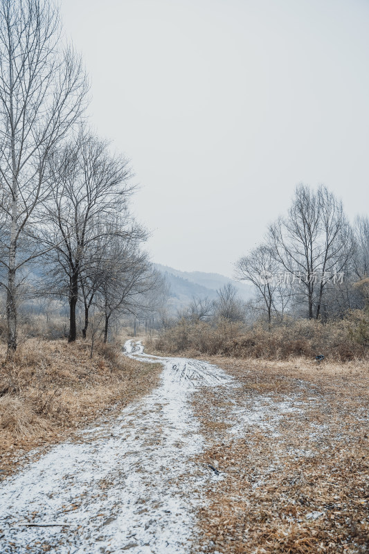 冬季掉满落叶和白雪的山路