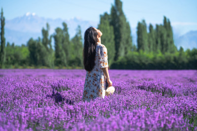 薰衣草庄园里的东方女性背影