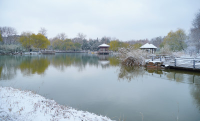 公园湖泊雪景