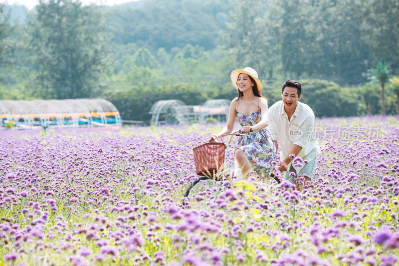 青年夫妇在花海里骑车