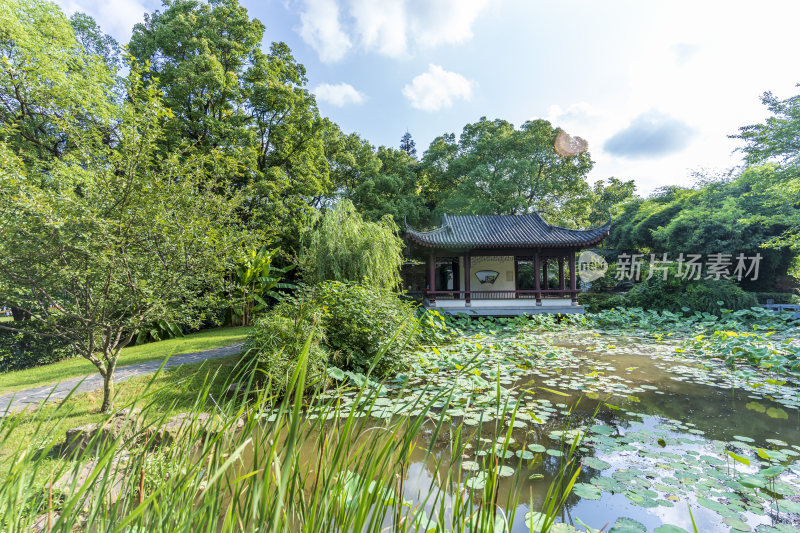 武汉东湖湖北书画院风景