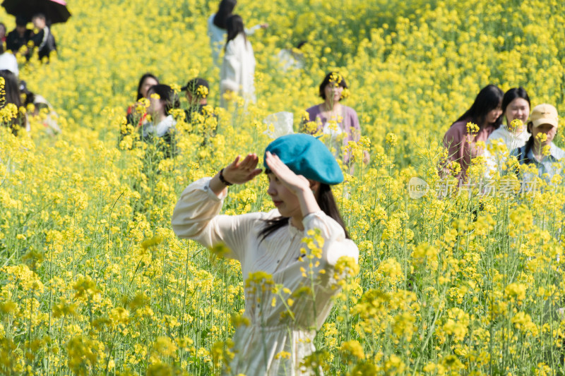 福州花海公园市民在油菜花田里拍照