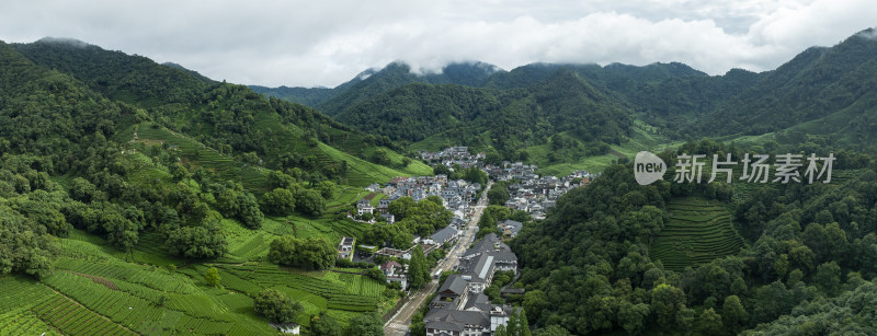 杭州西湖龙井产地梅家坞云雾茶园