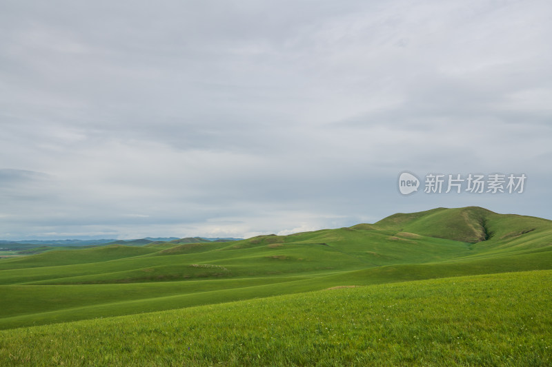 内蒙古乌拉盖草原