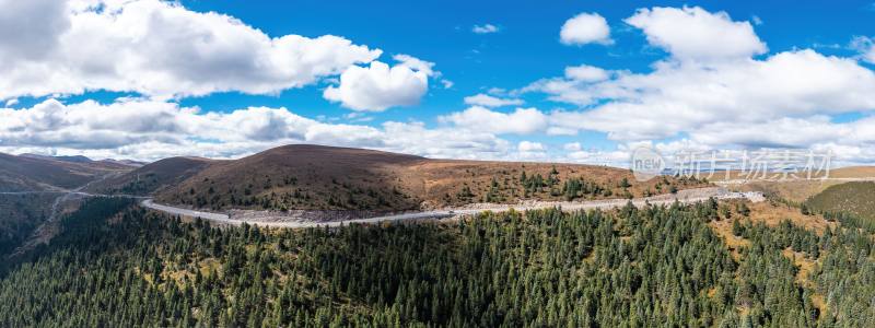 高原公路与山间松林