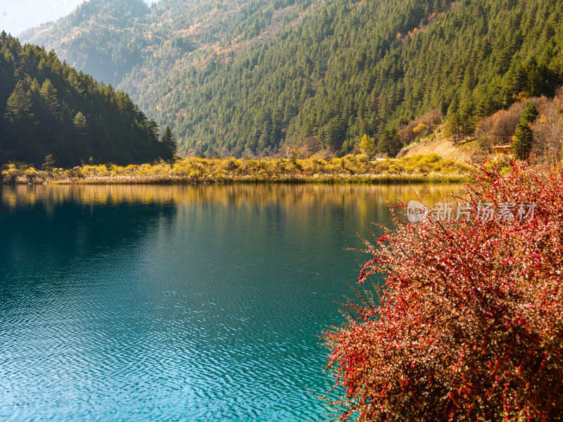 九寨沟秋景