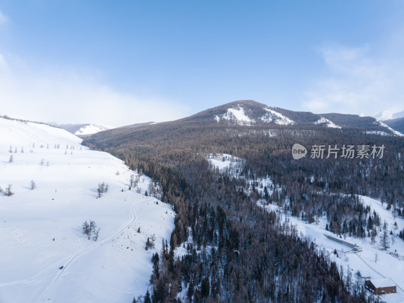 新疆喀纳斯雪景晨雾雪山森林雾凇