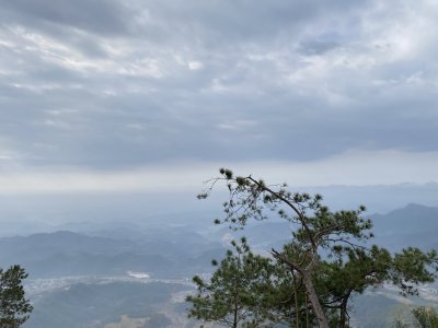 山间植被景象，远景山峦起伏