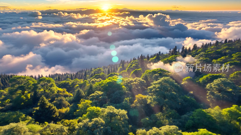 森林阳光云海森林云雾缭绕树林山大自然山峰