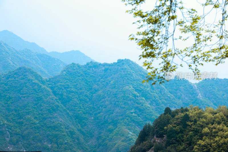 太白山自然风光