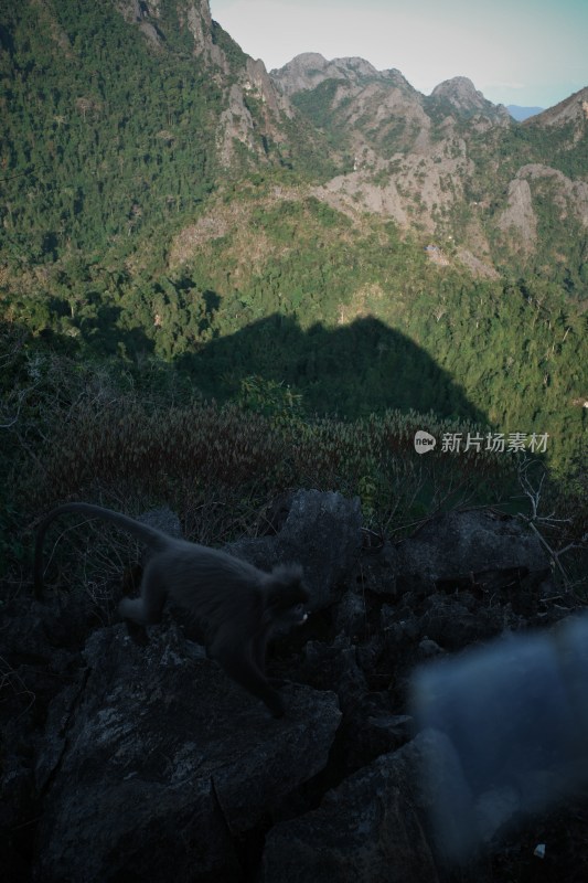 老挝万荣山地田野俯瞰风景