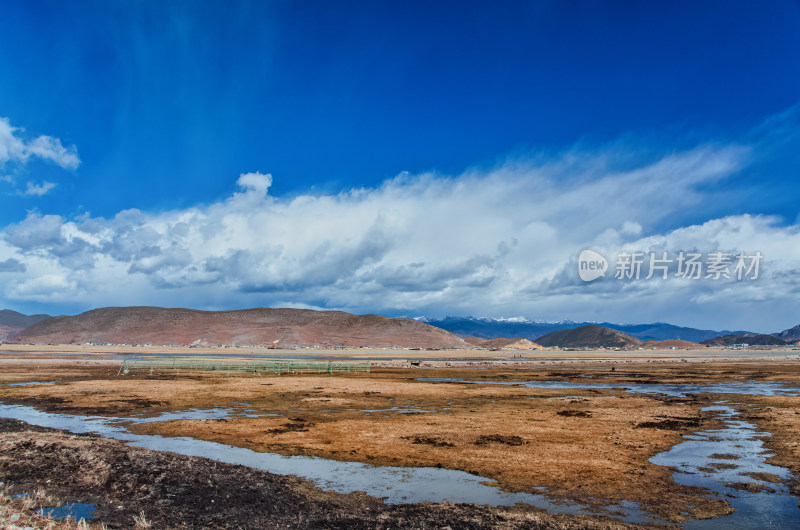 云南迪庆香格里拉纳帕海湖泊湿地草地