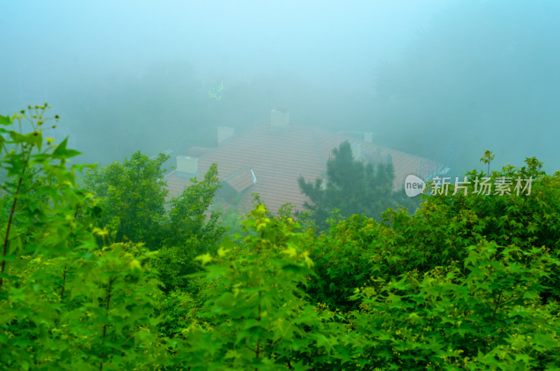 青岛小鱼山大雾天俯瞰城市风光，