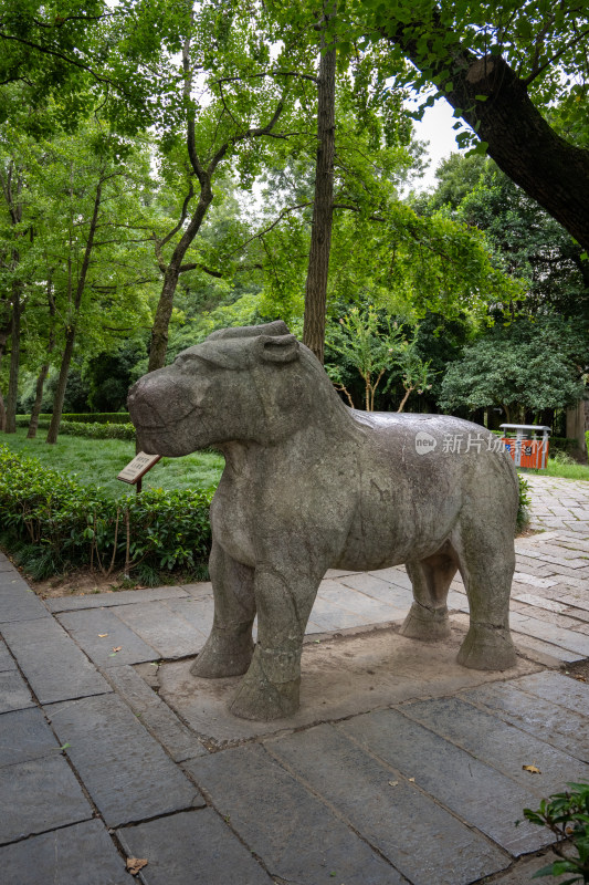 南京钟山明孝陵景区石像路夏季狮子