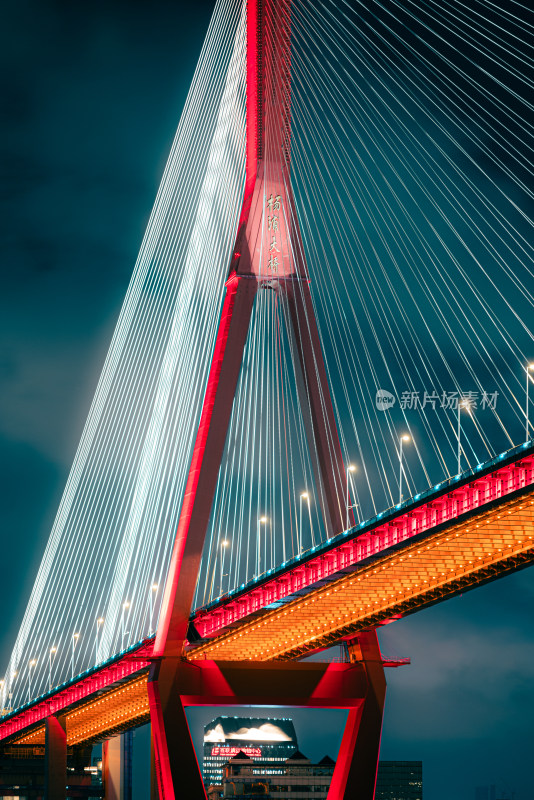 上海杨浦大桥的夜景