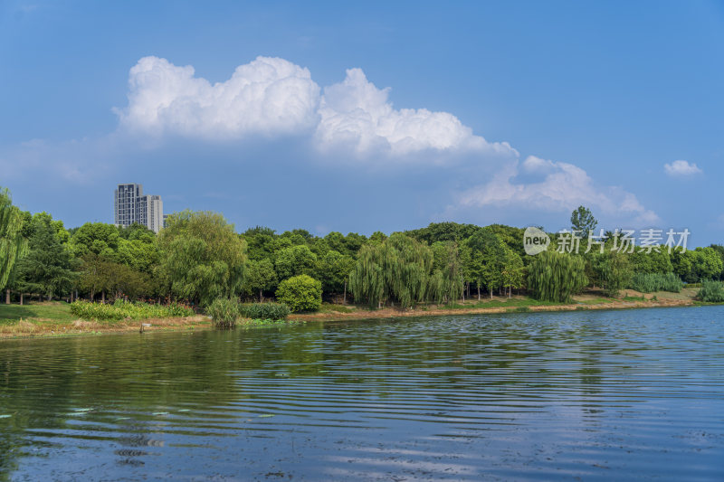 武汉汉阳墨水湖公园湿地公园