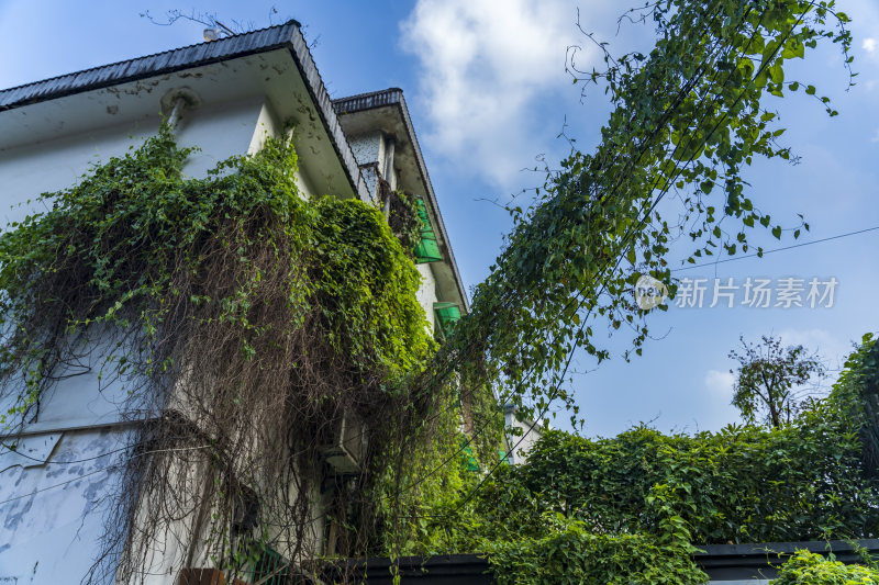 杭州吴山白马庙巷人文街道