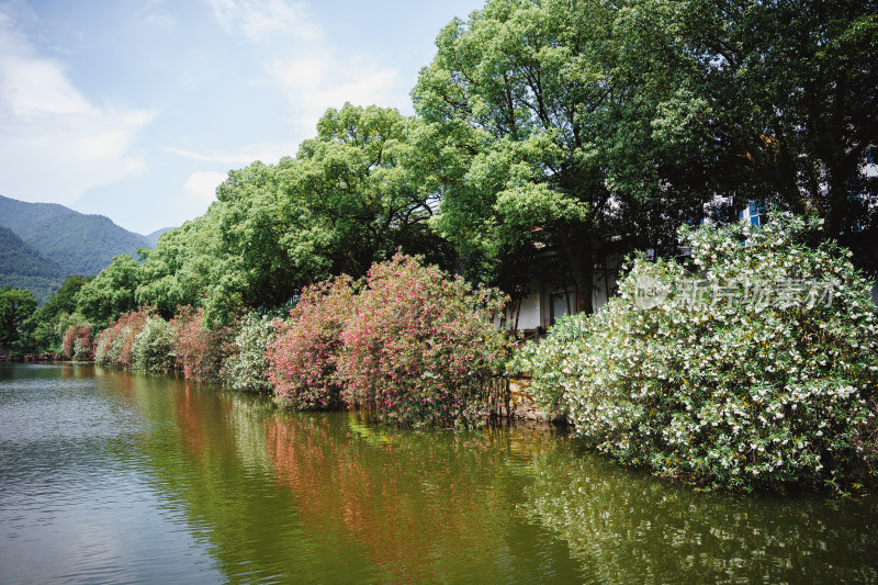 台州府城东湖公园