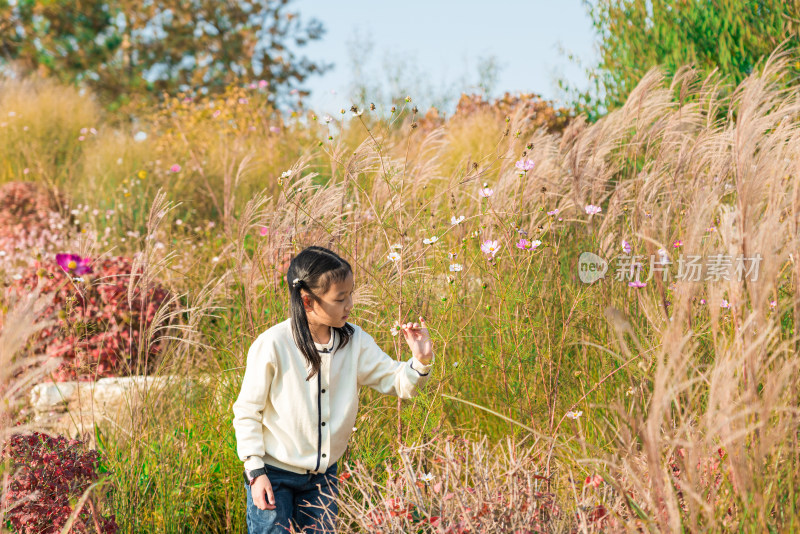 秋天在公园花丛中游玩中国女孩