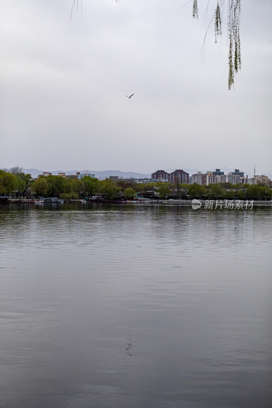 北京什刹海后海公园景点景观