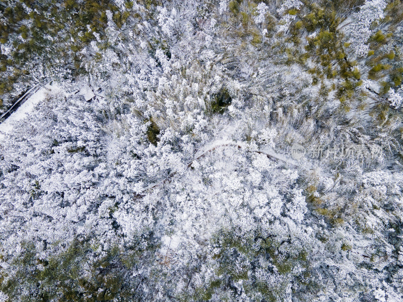 森林冬天雪景航拍摄影图