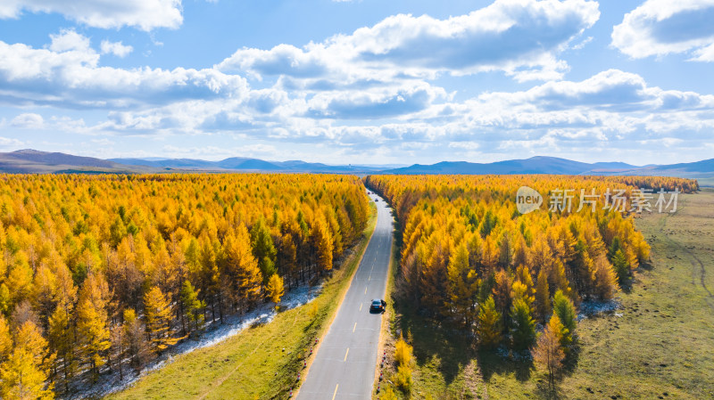 秋季山林间的公路航拍风景