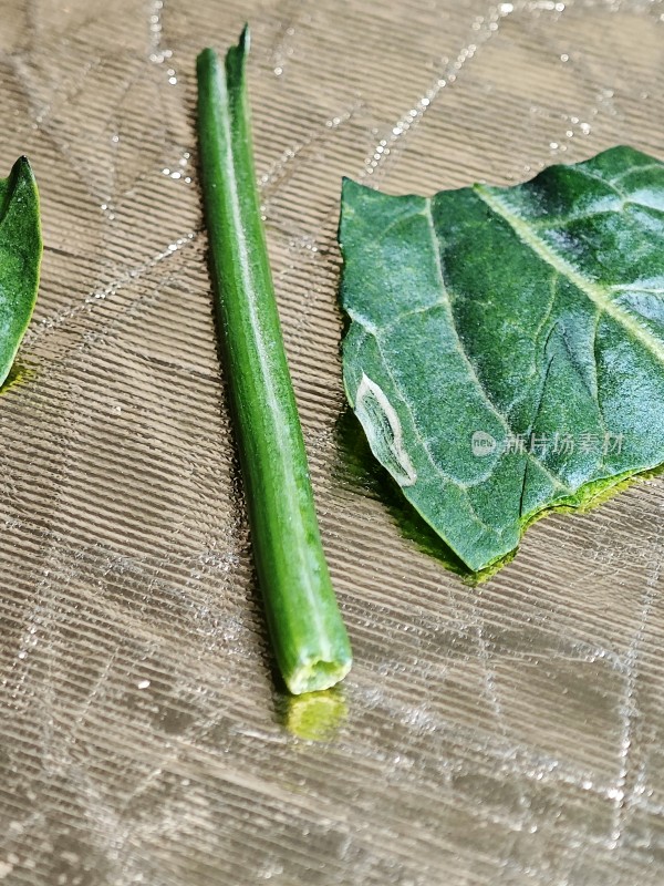 新鲜菠菜叶特写