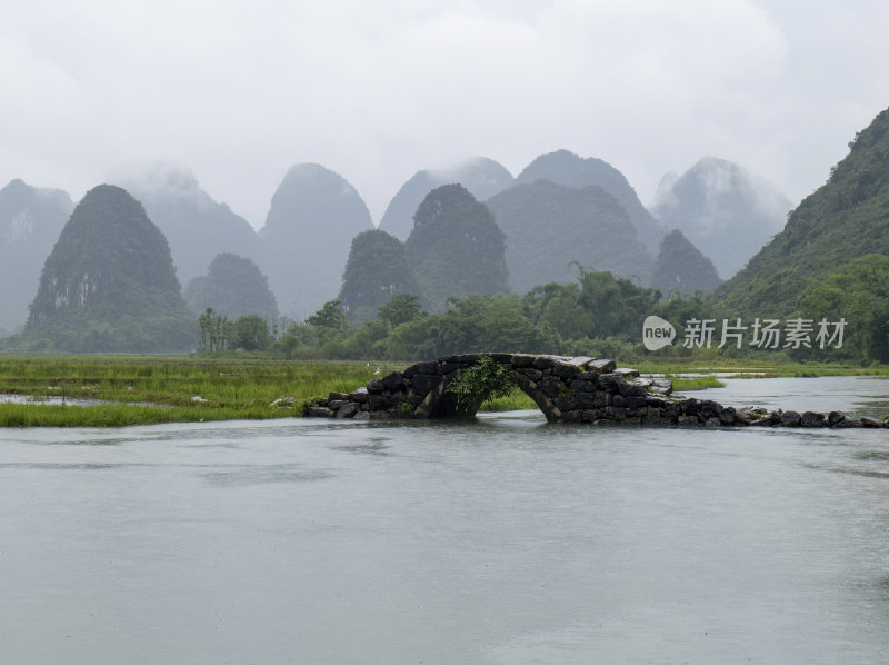 广西桂林状元桥老人牵牛放牧意境风光