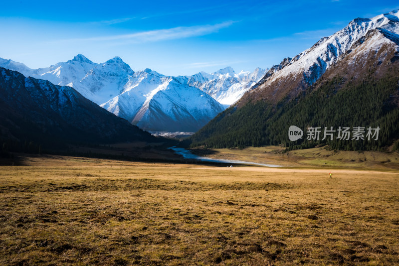 新疆夏塔草原阳光自然风景