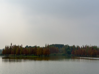 天空下湖边的风景