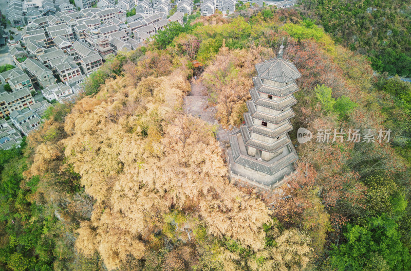 航拍秋天山顶的塔-柳州蟠龙山蟠龙塔