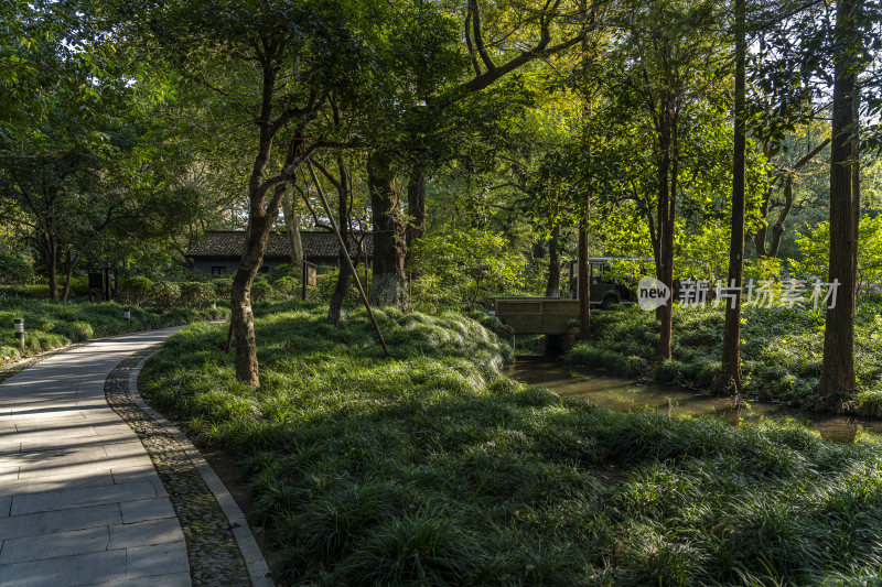 杭州西子湖畔杭州花圃风景