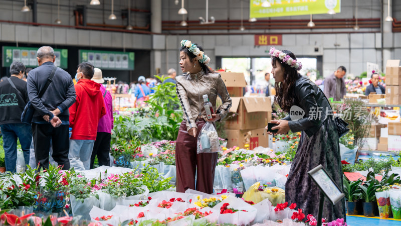 云南昆明斗南花市吸引大量游客前来买花