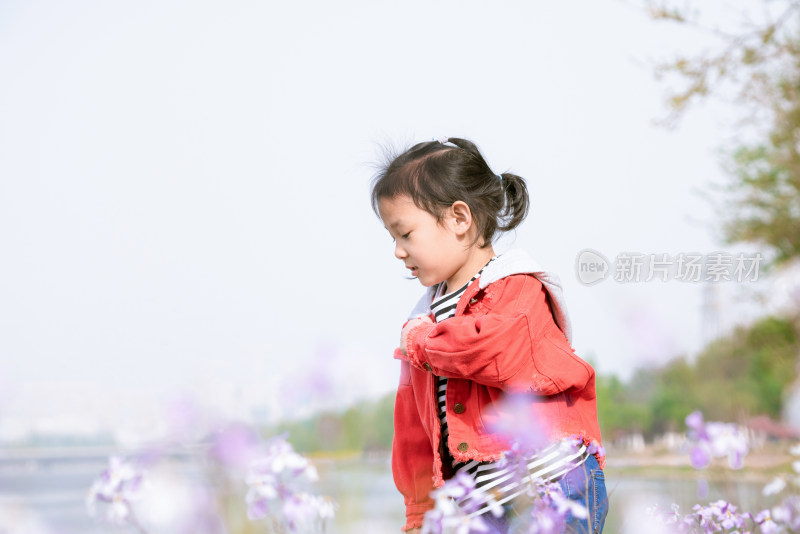 女孩在大运河公园河堤的花丛里玩