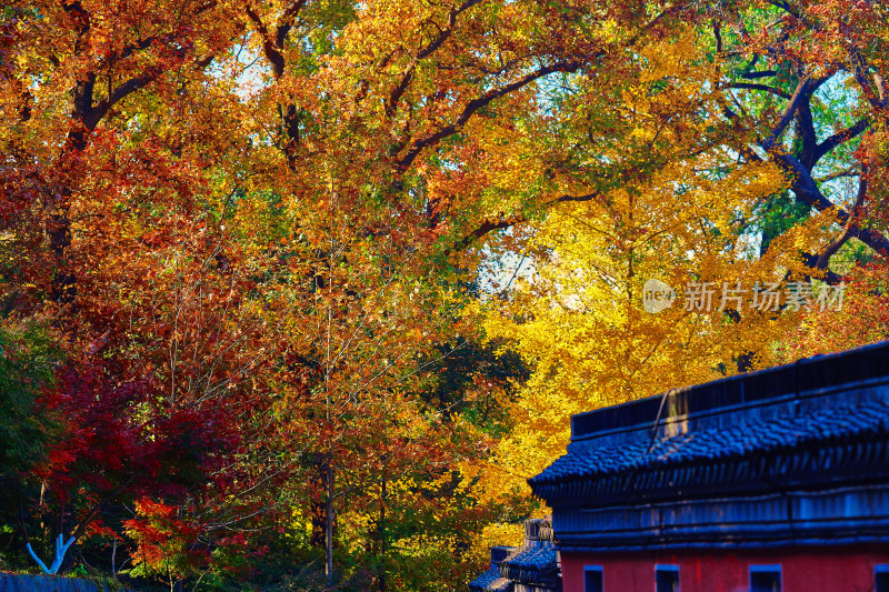 南京栖霞山栖霞寺