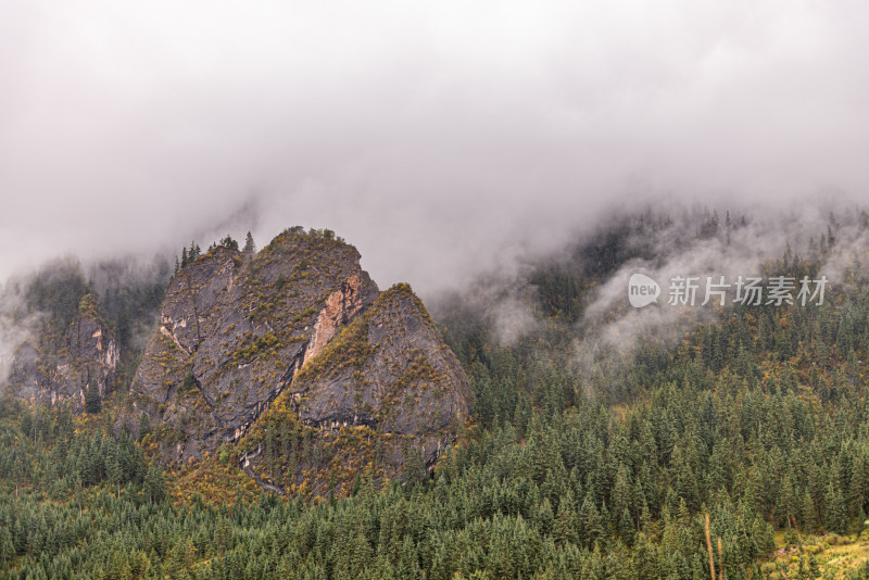 云雾缭绕的森林山峰