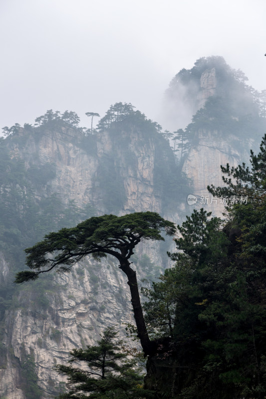 云海中的大明山