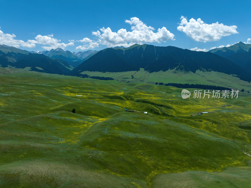 新疆北疆伊犁喀纳峻大草原高空航拍