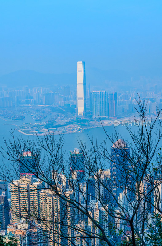 香港太平山顶看维港滨海摩天大楼建筑群