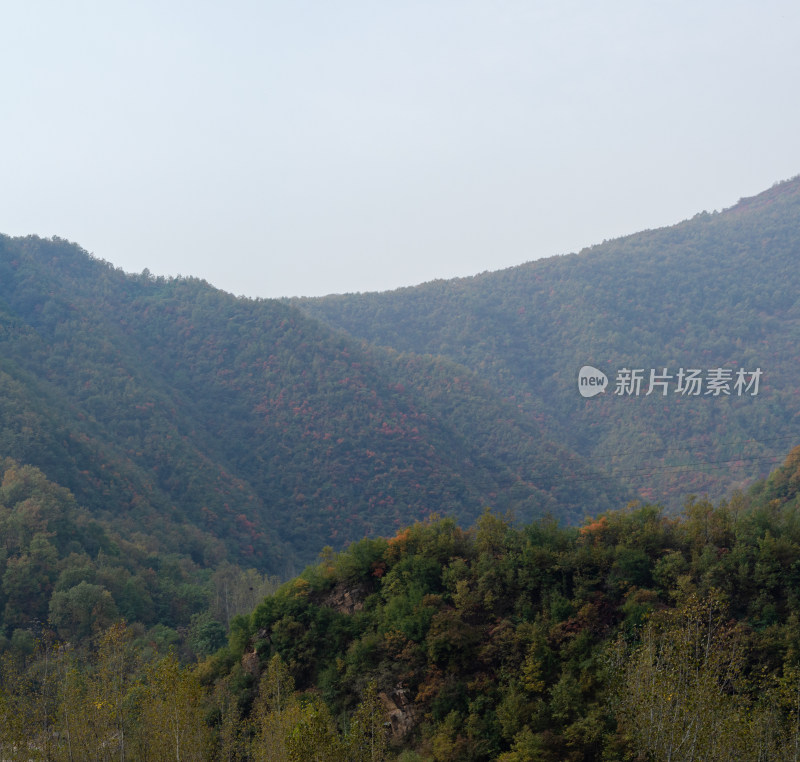 河南洛阳白云山风景区秋天的自然风光