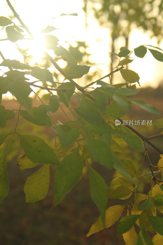 北京马家湾湿地公园