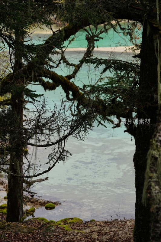 四川阿坝藏族羌族自治州黄龙风景区