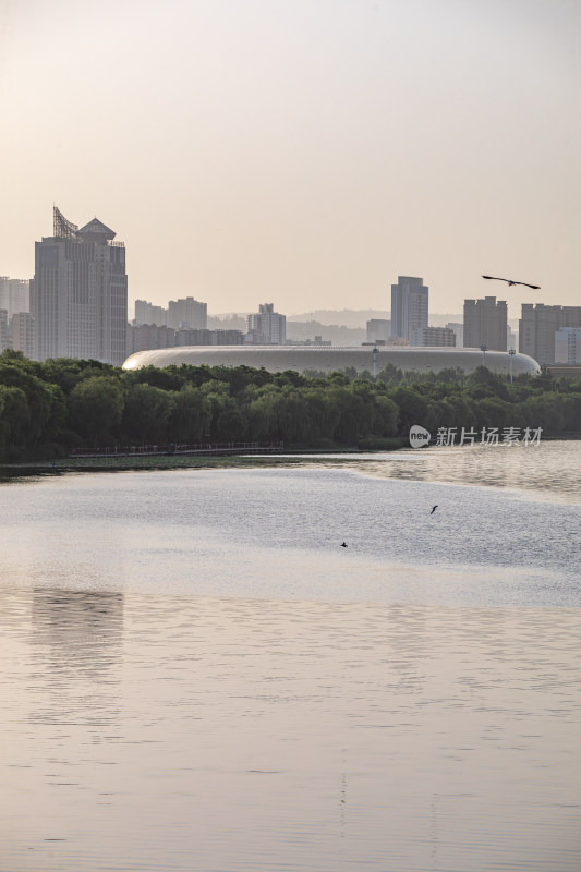 河南三门峡陕州公园天鹅湖景点景观