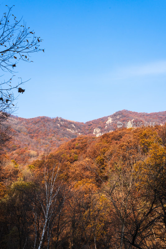 北京喇叭沟门山区秋色