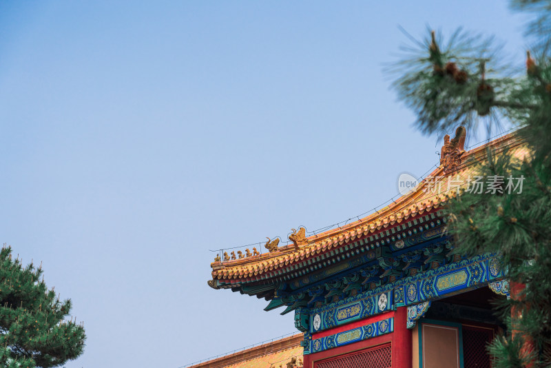 中国北京故宫博物院的黄色琉璃屋顶