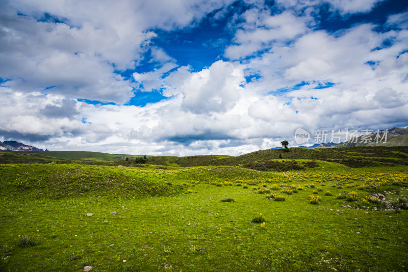 川西格聂草原自然风景