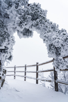 冬天大雪景区步道栏杆